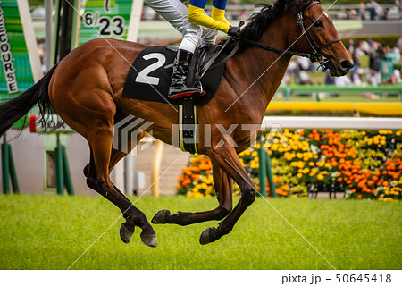 競馬 競馬 50645418