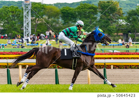 競馬 競馬 50645423