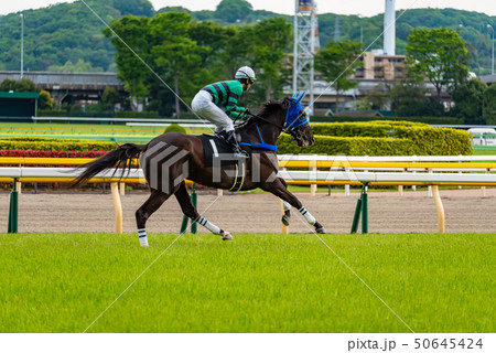 競馬 競馬 50645424