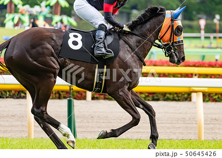 競馬 競馬 50645426
