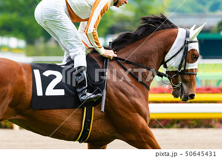 競馬 競馬 50645431
