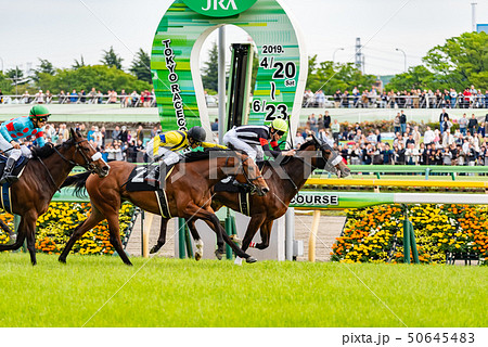 競馬の写真素材