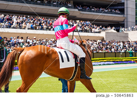 パドック パドック 50645863