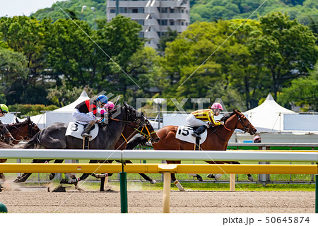 競馬 50645874
