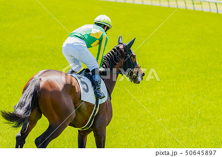 競馬 50645897