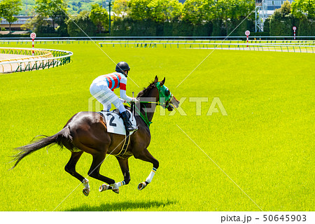 競馬 競馬 50645903