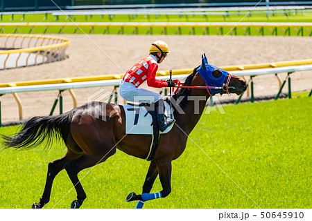 競馬の写真素材