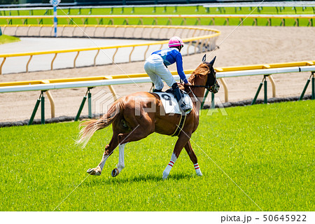 競馬 50645922