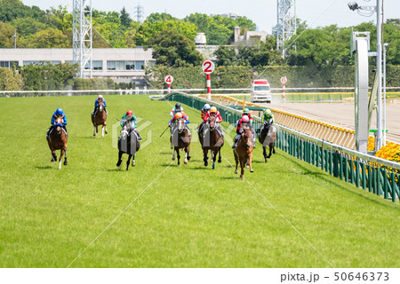 競馬 競馬 50646373