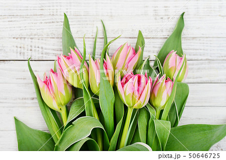 Pink tulips bouquet Pink tulips bouquet 50646725