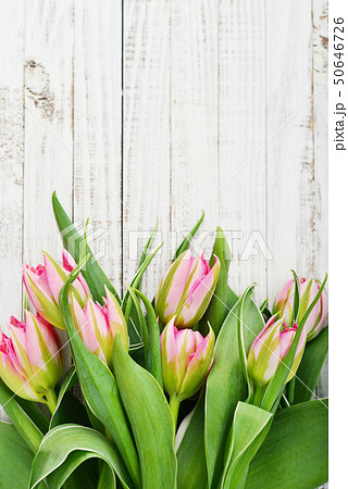 Pink tulips bouquet Pink tulips bouquet 50646726