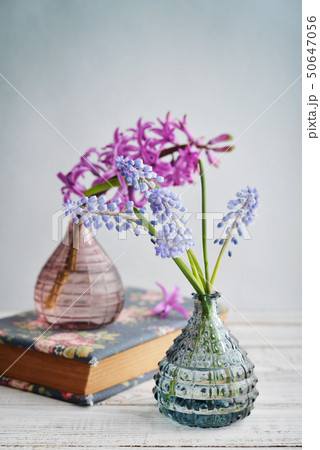 Spring flowers in vases Spring flowers in vases 50647056