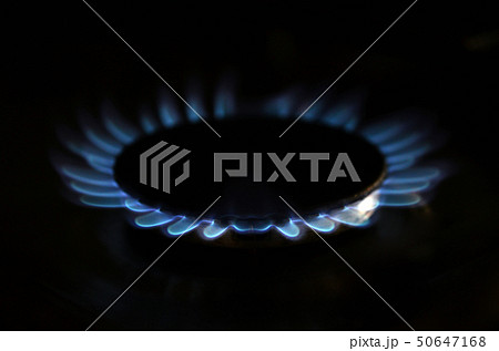 Gas flame on domestic stovetop 50647168
