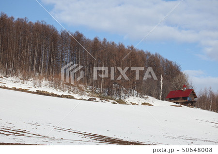残雪の丘_富良野 50648008