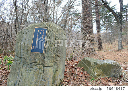 盛岡市岩山公園、啄木詩（うた）の道の歌碑 50648417