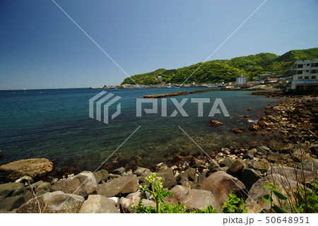 伊豆 網代漁港を望む 50648951