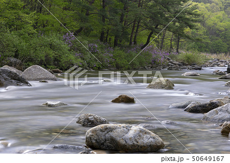 風景 岩 石 50649167