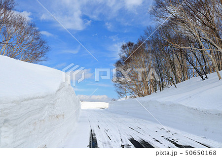 八幡平アスピーテライン(後生掛温泉付近) 八幡平アスピーテライン(後生掛温泉付近) 50650168