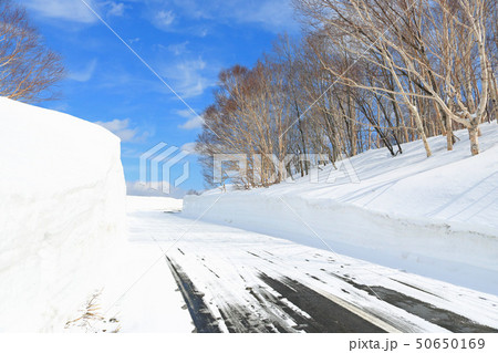 八幡平アスピーテライン（後生掛温泉付近） 50650169