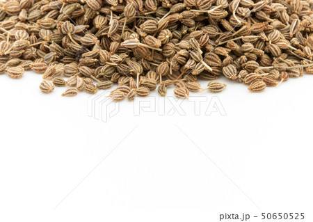アジョワンシード アジョワインシード: ajwain ajowan seed アジョワンシード アジョワインシード: ajwain ajowan seed 50650525