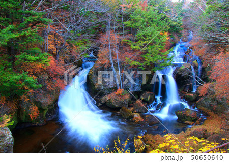 竜頭ノ滝(栃木県・日光市) 竜頭ノ滝(栃木県・日光市) 50650640