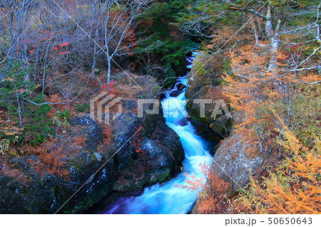 竜頭ノ滝（栃木県・日光市） 50650643
