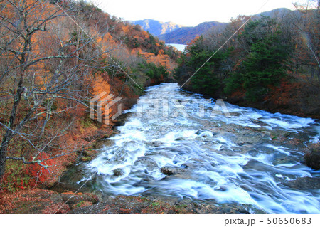竜頭ノ滝（栃木県・日光市） 50650683