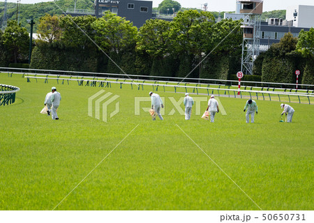 競馬場の清掃 50650731