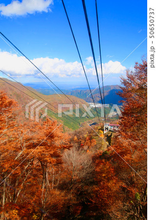 明智平展望台からの眺望（栃木県・日光市） 50650737