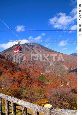 明智平展望台からの眺望（栃木県・日光市） 50650740