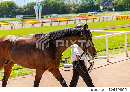 優勝馬 優勝馬 50650866