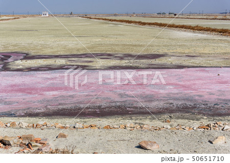 Pink salt at Sambhar Salt Lake. India 50651710