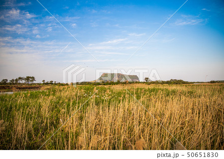 城山日出峰 済州島 美しさ 50651830