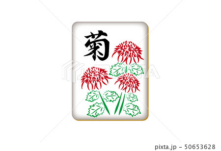 麻雀牌花牌菊 麻雀牌花牌菊 50653628
