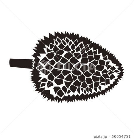 ドリアンのイラスト素材