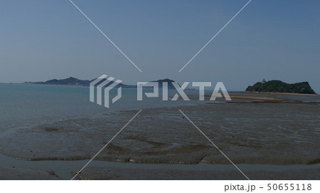 屋外 室外 自然 50655118
