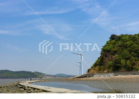 屋外 室外 自然 50655132