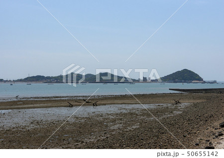 屋外 室外 自然 50655142