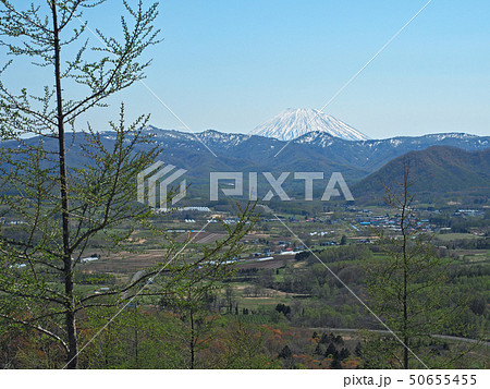 北海道赤井川村/冷水峠カルデラ展望所から望む羊蹄山 北海道赤井川村/冷水峠カルデラ展望所から望む羊蹄山 50655455
