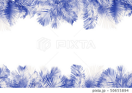 top view palm leaves tree for summer background top view palm leaves tree for summer background 50655894