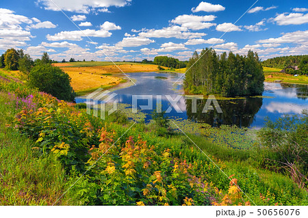 Rural landscape with a lake in summer 50656076