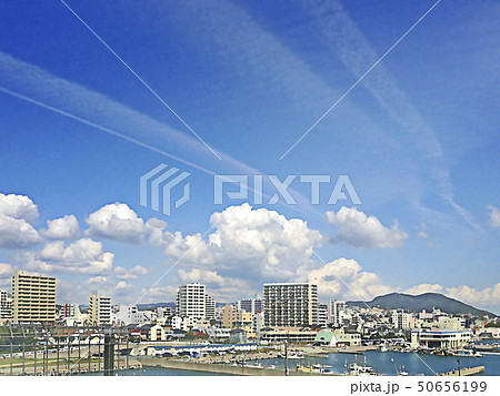 漁港と街並み 漁港と街並み 50656199