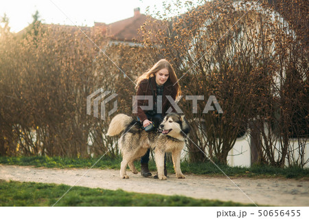 Beautiful young girl walk with husky dog. Happy female with her pet 50656455