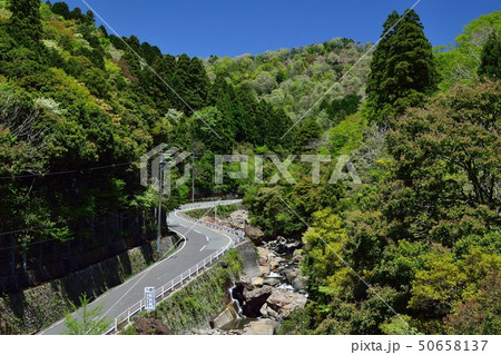 京都福知山市大江町の吊り橋 京都福知山市大江町の吊り橋 50658137