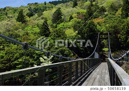 京都福知山市大江町の吊り橋 50658139
