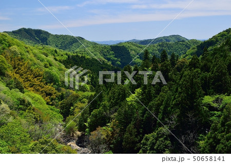 京都福知山市大江町の吊り橋 50658141