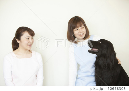 ペット ペット 50658303