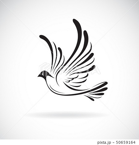 Vector Of Birds Dove Design Animal のイラスト素材