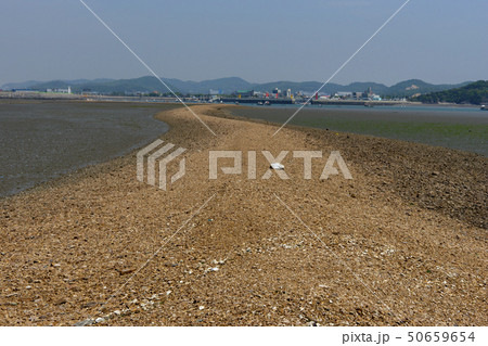 屋外 室外 自然 50659654
