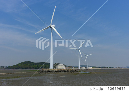 屋外 室外 自然 50659655